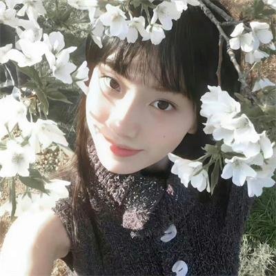 一鸣惊人